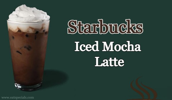 Starbucks Iced Mocha Latte