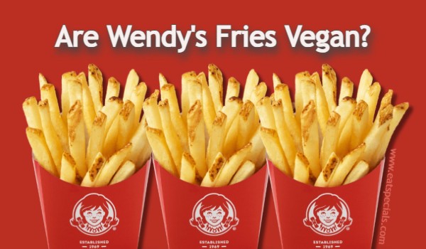 Are Wendy's Fries Vegan